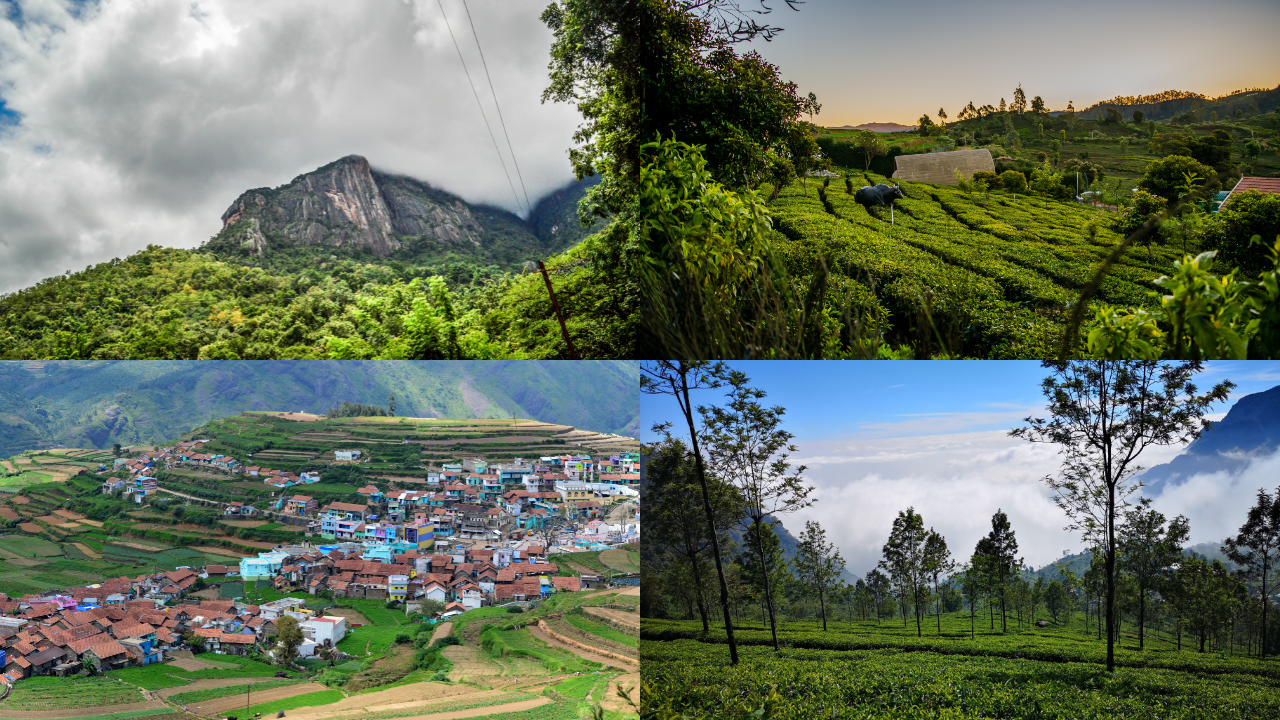 Stunning hill stations near Chennai for a quick New Year trip