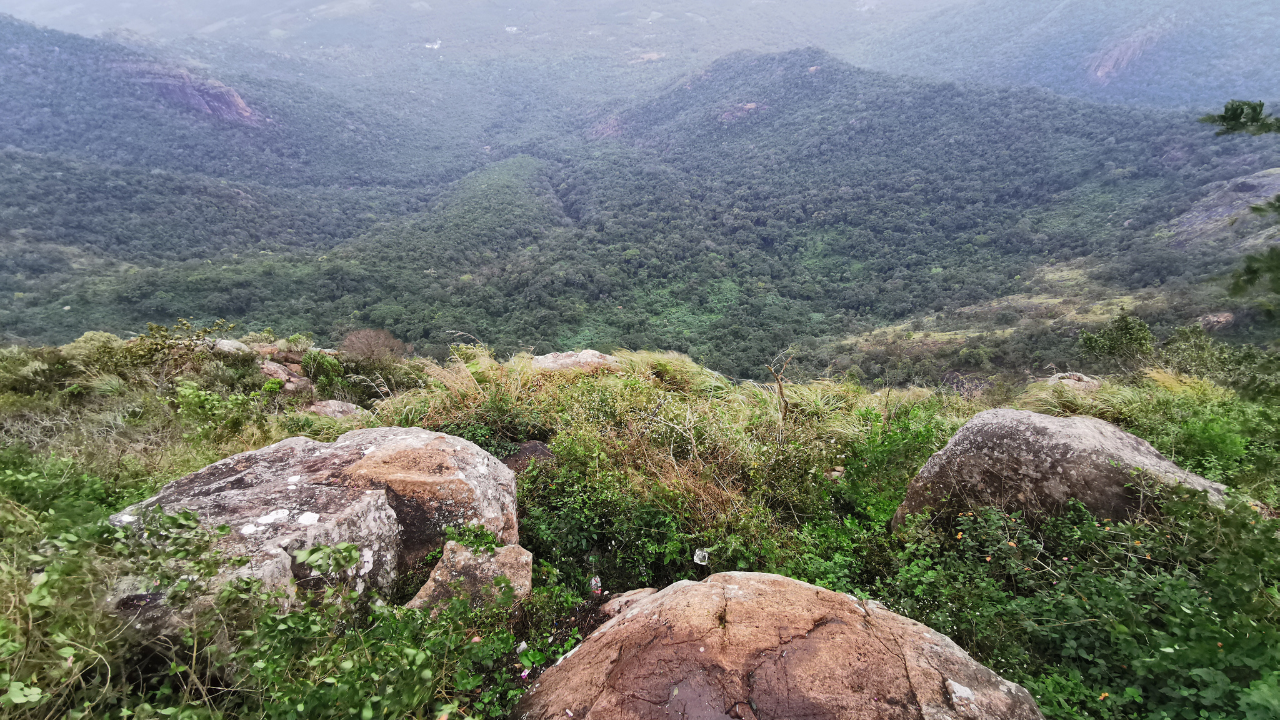 Kolli Hills