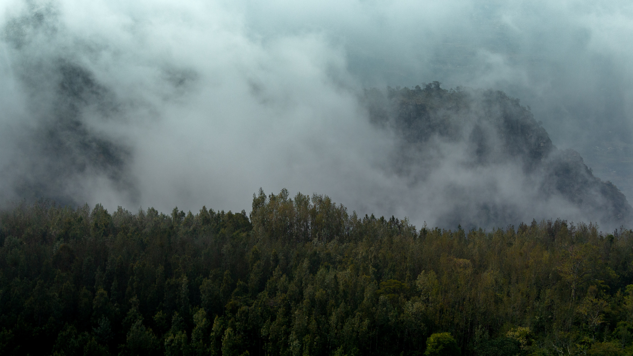 Yercaud