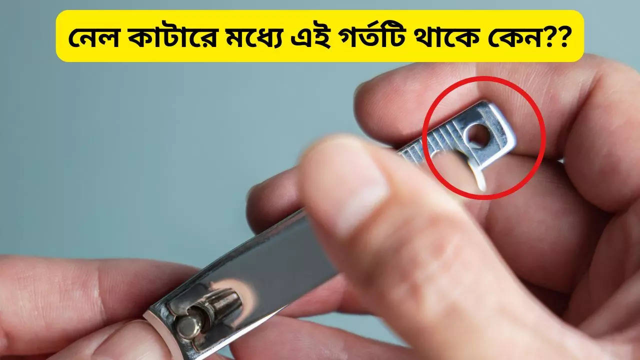 Nail Cutter Facts know why small hole in nail cutter