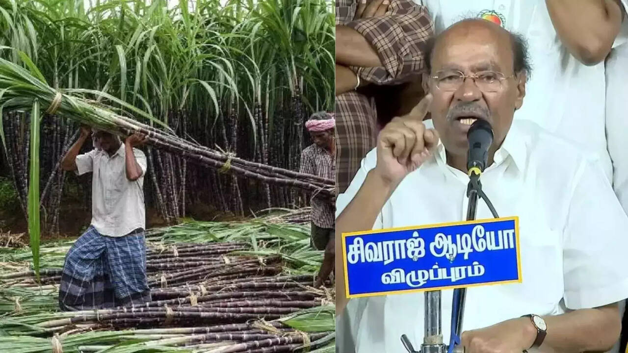  தமிழகத்தில்  கரும்பு விலை டன்னுக்கு ரூ.950 குறைத்து வயிற்றில் அடிப்பது தான் திராவிட மாடலா? அரசுக்கு ராமதாஸ் கேள்வி 