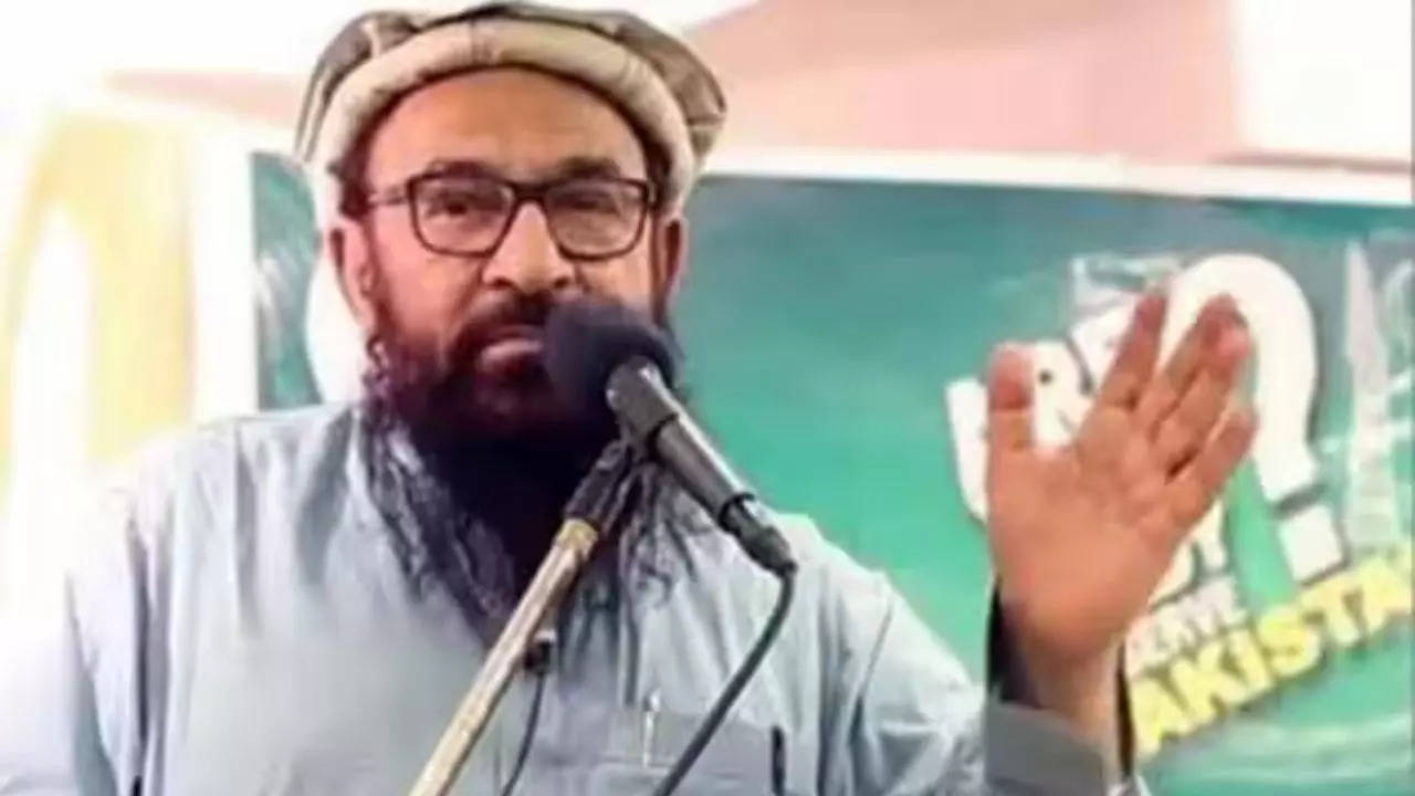 Hafiz Abdul Rahman Makki 2611 Mumbai attack mastermind died in Pakistan