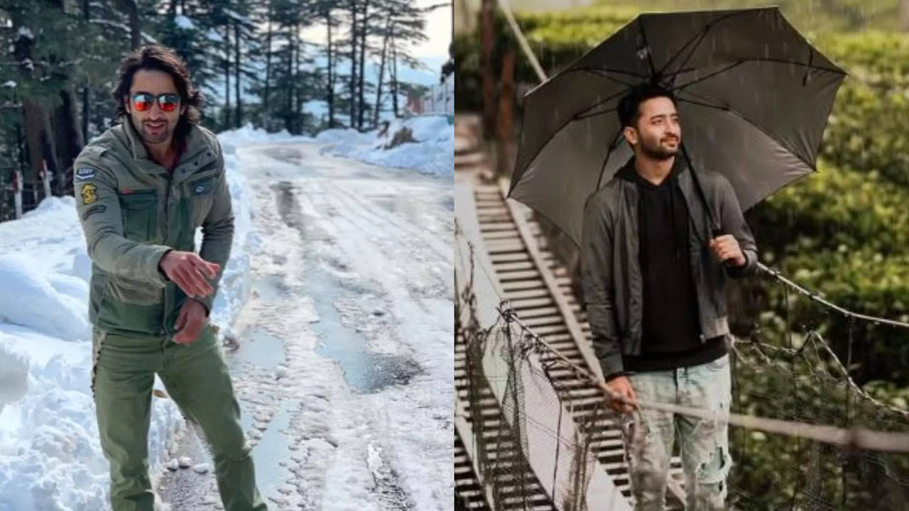 Shaheer Sheikh Shares His Life Mantra - See Post