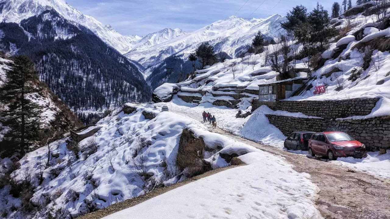 Best Things To Do In Manali On A Snowy New Year