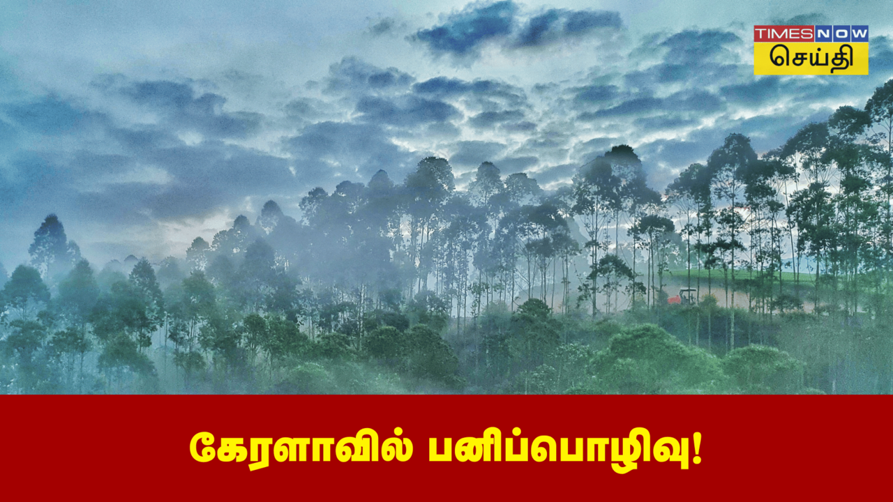  கேரளாவில் பனிப்பொழிவு! குளிர்கால சொர்க்கம், பனியால் உறைந்த மூணாறு... 