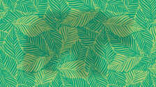 Optical Illusion Eye Test Can you spot the animal hiding in this forest of leaves?