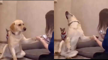 Viral Videos Trending Viral Videos Today Viral Video Times Now