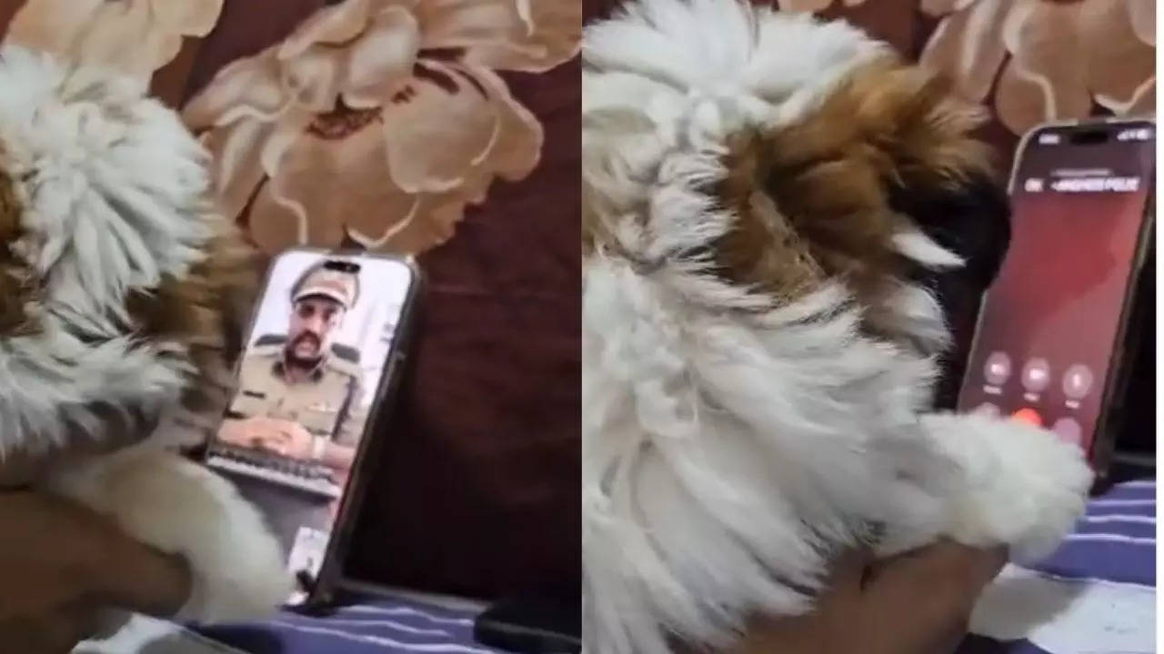 Man Outsmarts Scammer Posing As Mumbai Cop By Using His Puppy