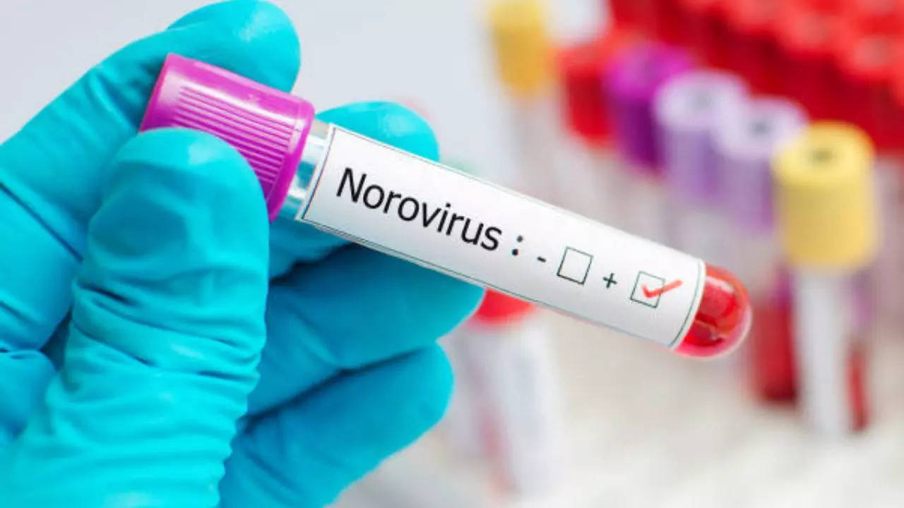 Norovirus Outbreak Shocks The US – Don’t Ignore These Warning Signs!