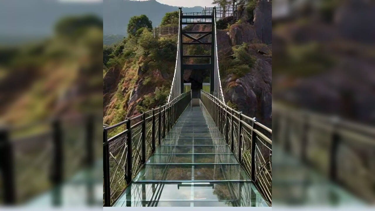  கன்னியாகுமரி போல இந்தியாவில் இருக்கும் மற்ற கண்ணாடி பாலங்கள் எத்தனை? 