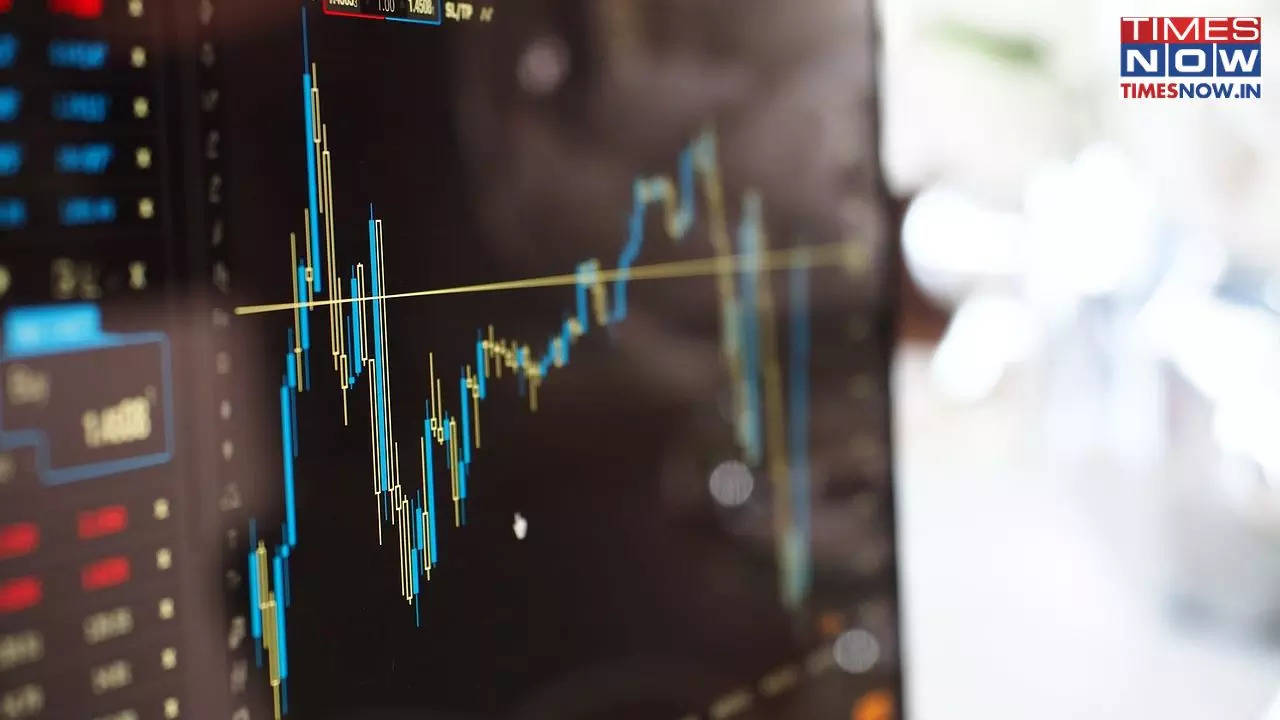 2024 Market Volatility To Carry Into 2025 Too? Know Which Factors Can Cause Market Volatility Next Year