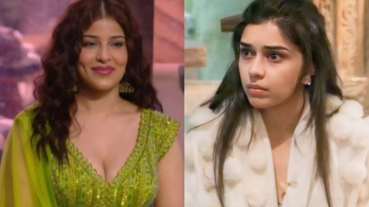 Bigg Boss 18: Edin Rose Calls Eisha Singh 'Insecure' As Latter's PR Team Defends Her Body Shaming Comments