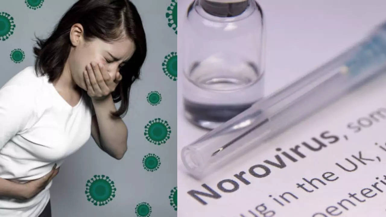 Why Is Norovirus So Hard To Kill, here's How You Can Protect Yourself From the `Perfect Pathogen' 