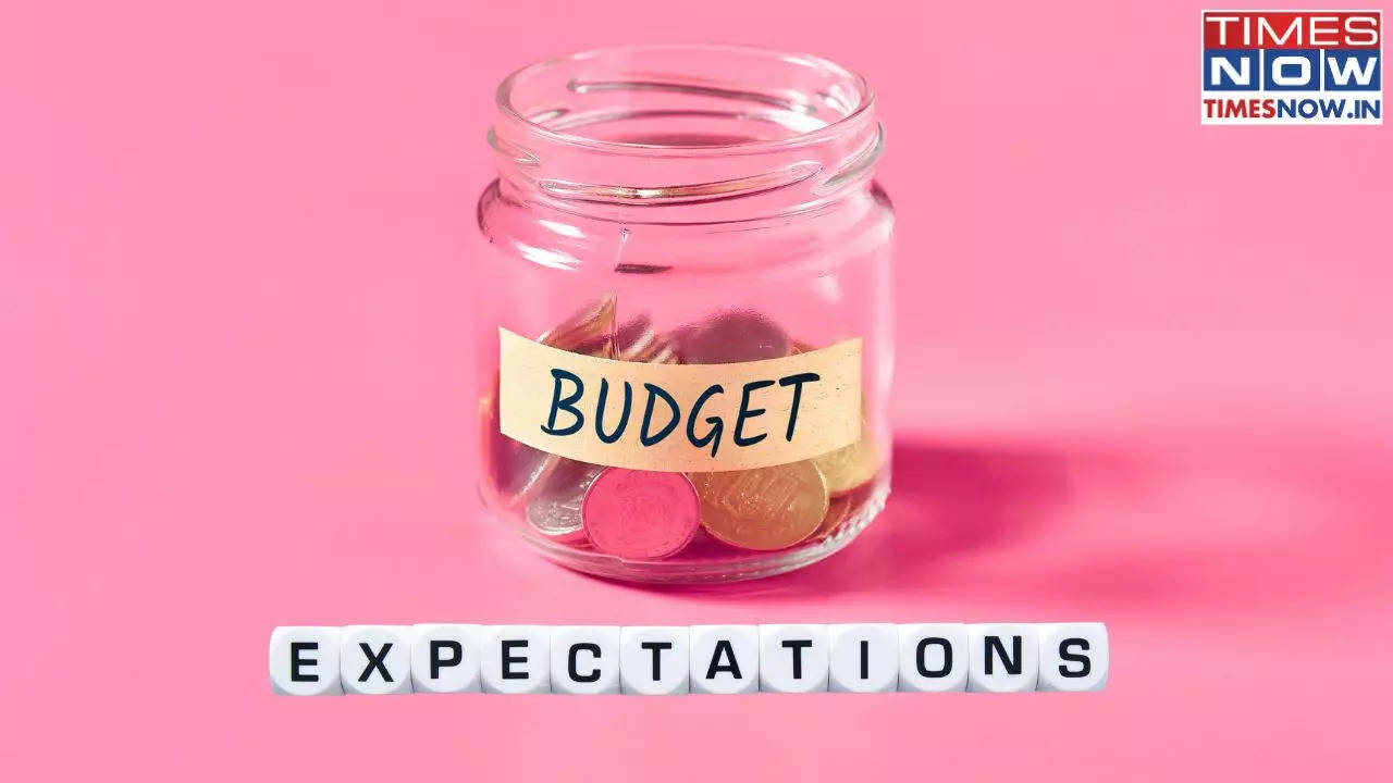 Budget Expectations, budget, budget 2025, budget 2024, budget expectations 2024, budget expectations 2025, budget 2025 expectations