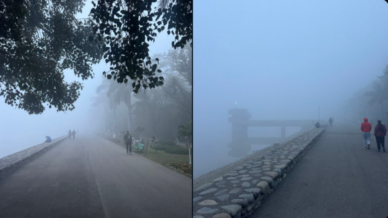 Chandigarh fog 