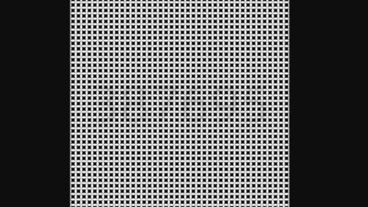 Optical Illusion test.