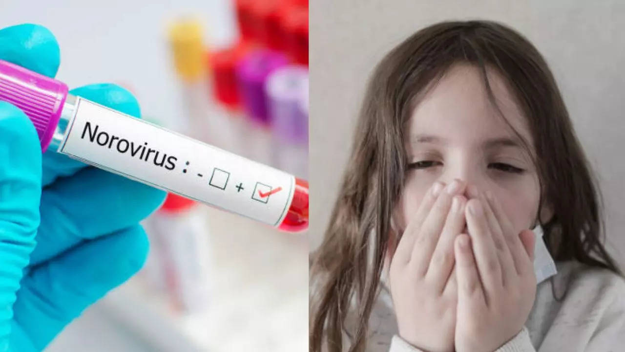 Norovirus Outbreak In US: Experts Lists Measures To Protect Their Kids