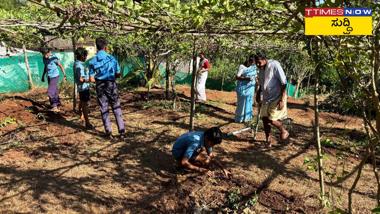 ಸರ್ಕಾರಿ ಶಾಲೆ ಮಕ್ಕಳೇ ನಿರ್ಮಿಸಿರುವ ಕೃಷಿ ತೋಟ