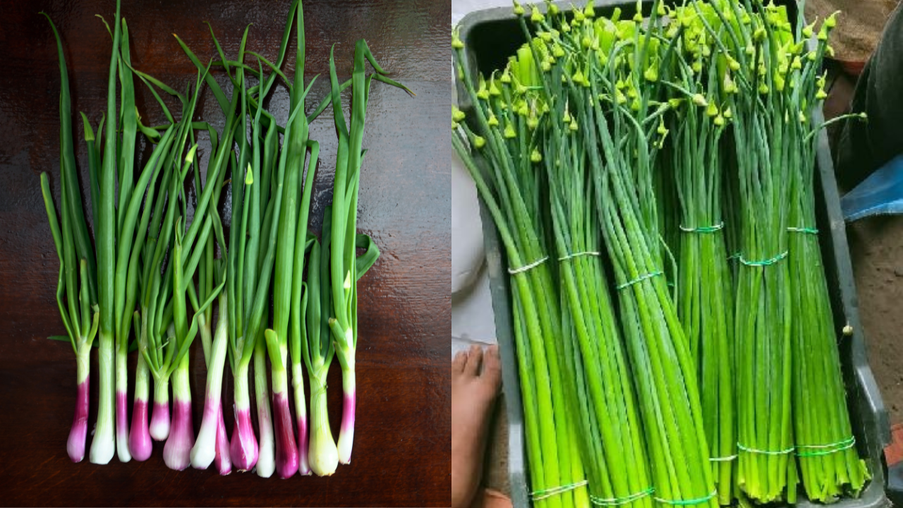 spring onion vs. onion flower stalk: are these greens different?