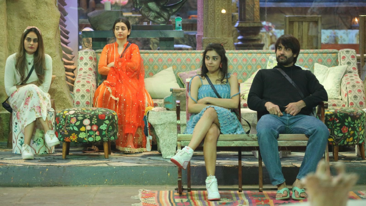 Bigg Boss 18 December 6 Episode: Vivian Dsena's No Reaction To Avinash Mishra Is The New BIG Issue