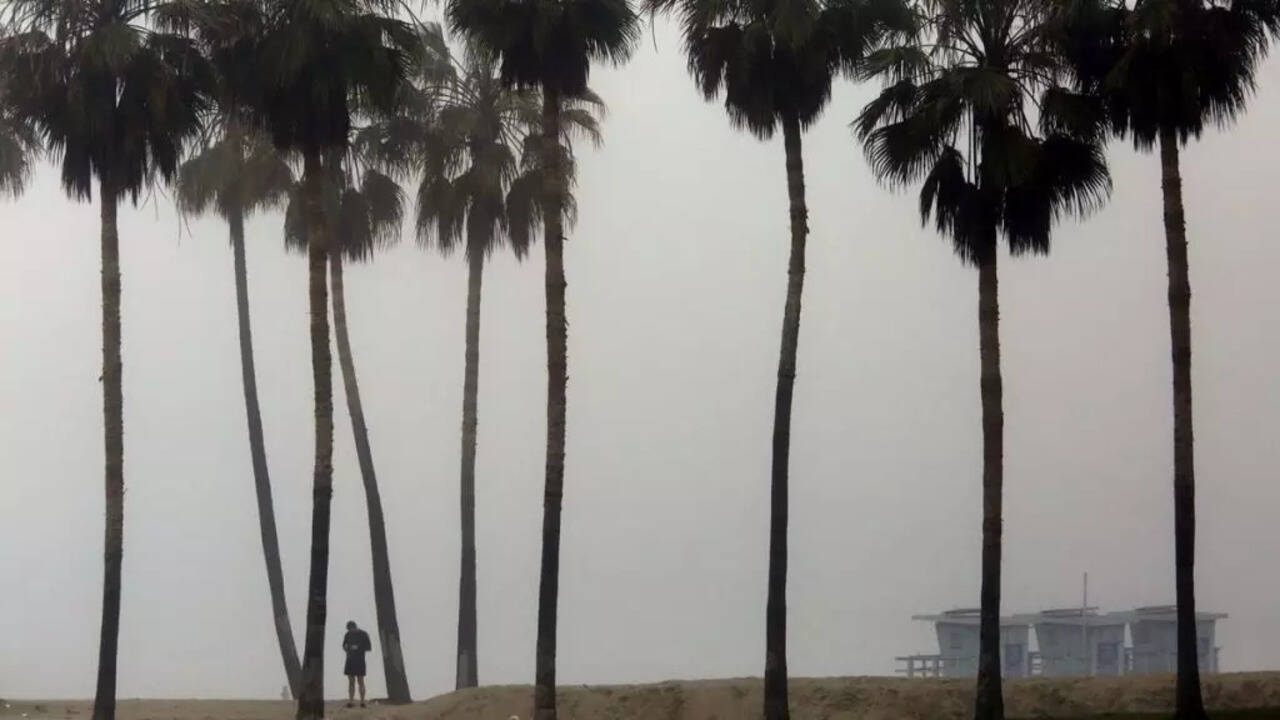 Los Angeles windstorm warning  (Photo Credits: X/Twitter)