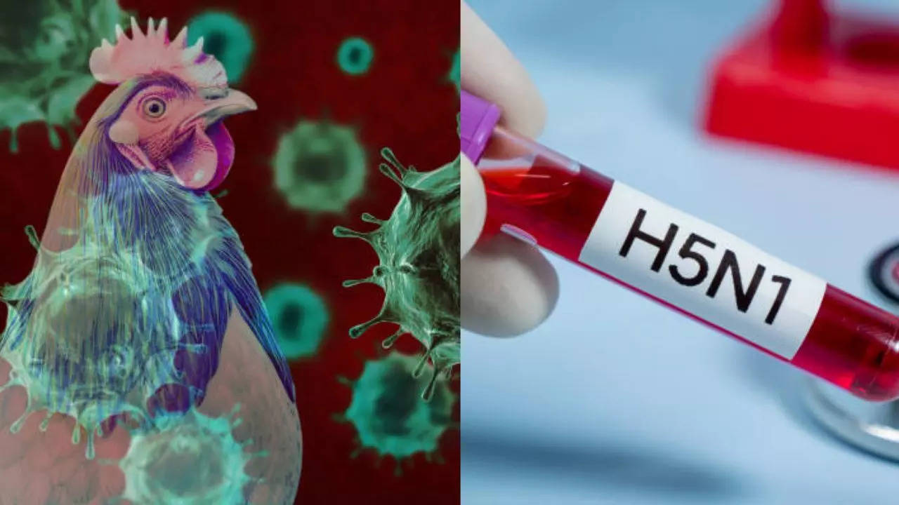 Louisiana Confirms First Human Death From Bird Flu