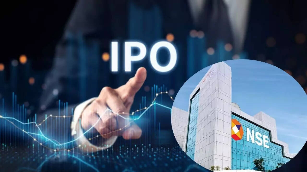 IPO in 2025