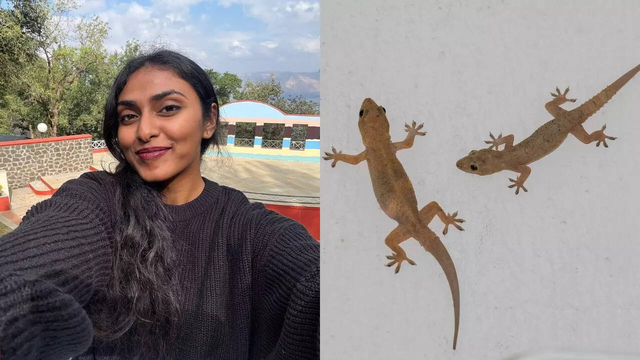 ​A fellow Bengaluru woman applied for the role to remove lizards. | Aditi Srivastava/Getty Images​