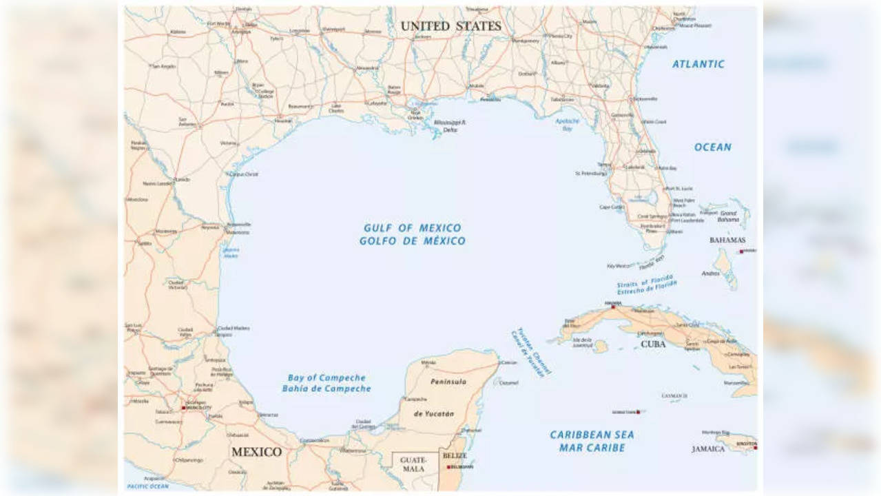 Gulf Of Mexico (istock)