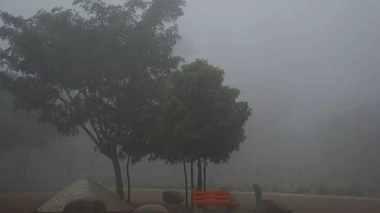 fog blankets chandigarh as winter chill sweeps through city, aqi 'very poor'