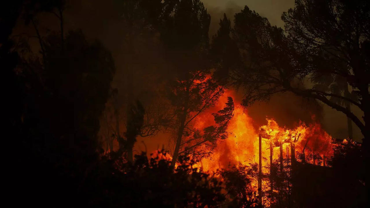 Pacific Palisades Fire