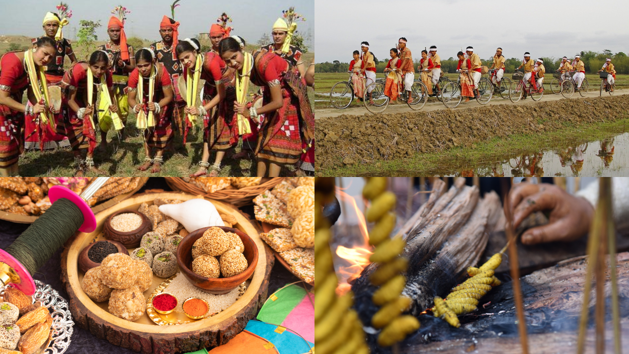 Lohri to Pongal: Here's how different states of India celebrate harvest festivals
