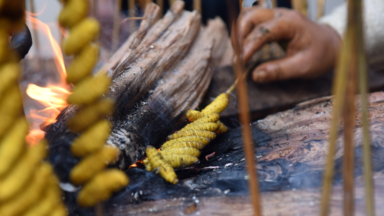 Bhogali Bihu 