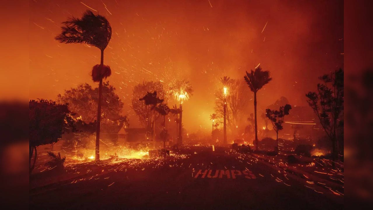 Los Angeles Wildfire  (Photo Credits: X / Twitter)