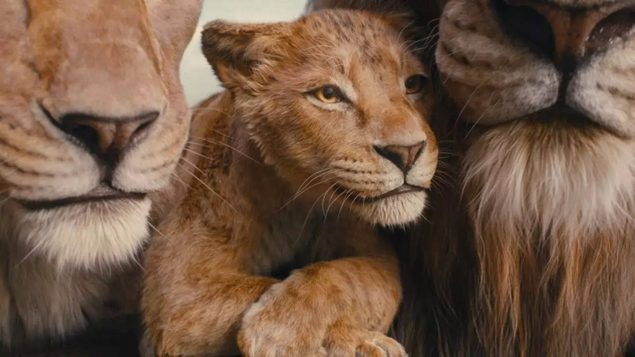 Mufasa: The Lion King Box Office Collection Day 20: Shah Rukh Khan Film Roars Loud In Third Week