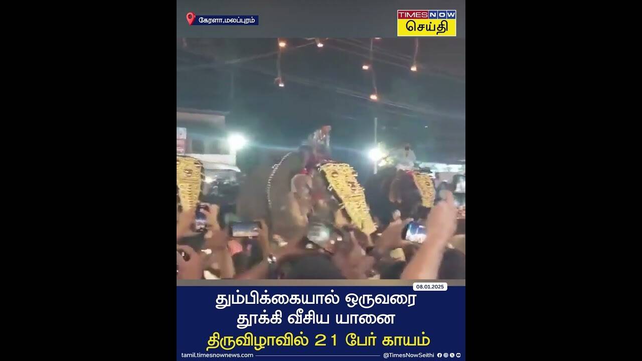  மத விழாவில் தும்பிக்கையால் ஒருவரை தூக்கி வீசிய யானை - கேரளாவில் பரபரப்பு 
