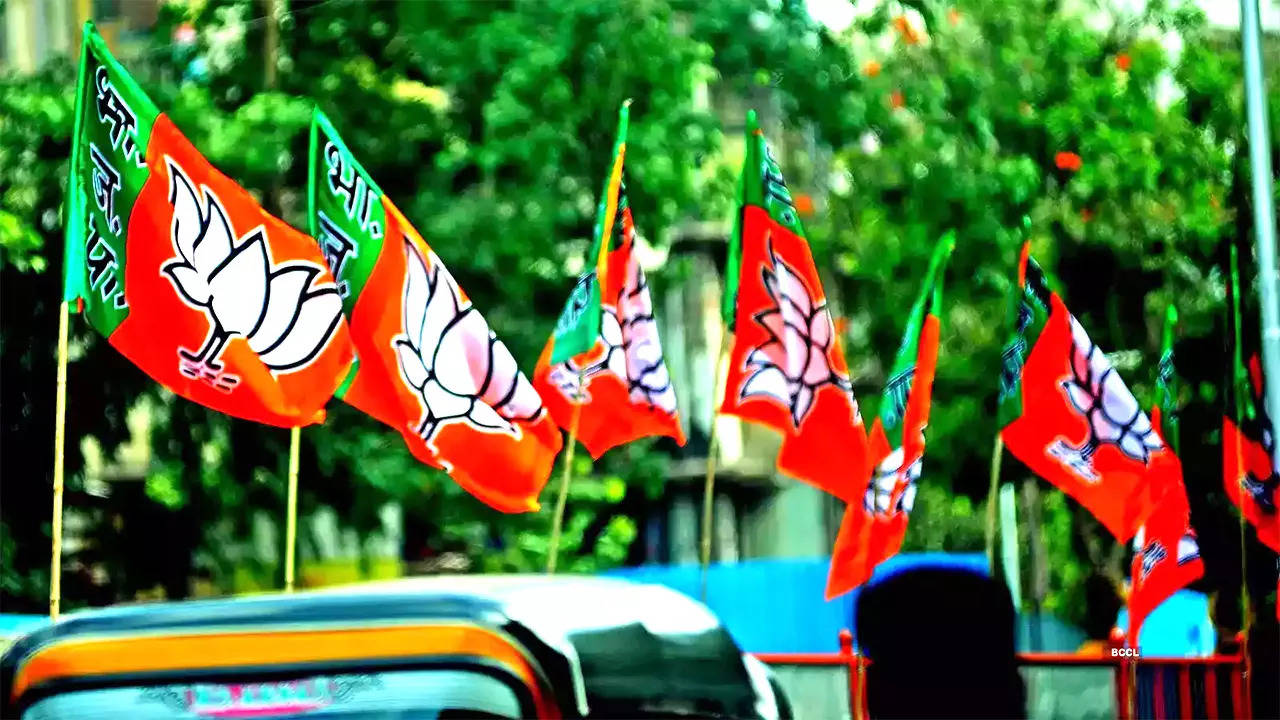 ​BJP Plan for Delhi Election