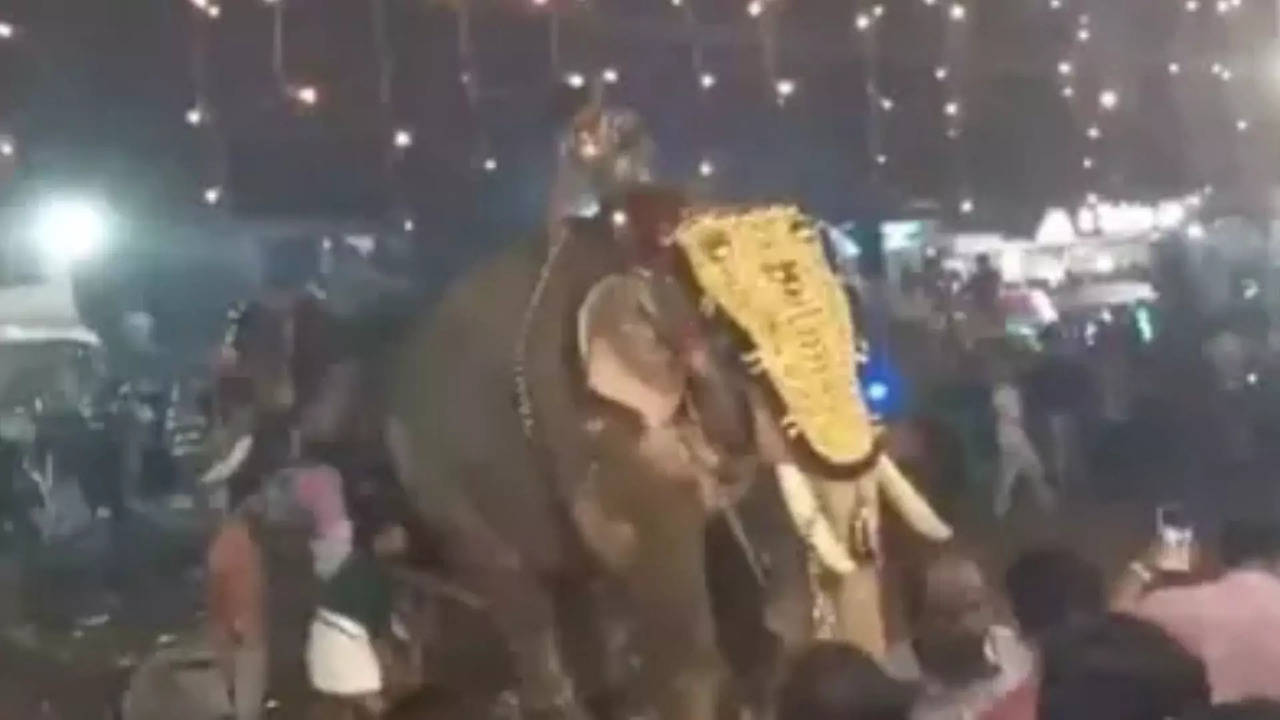 Kerala Elephant Attack