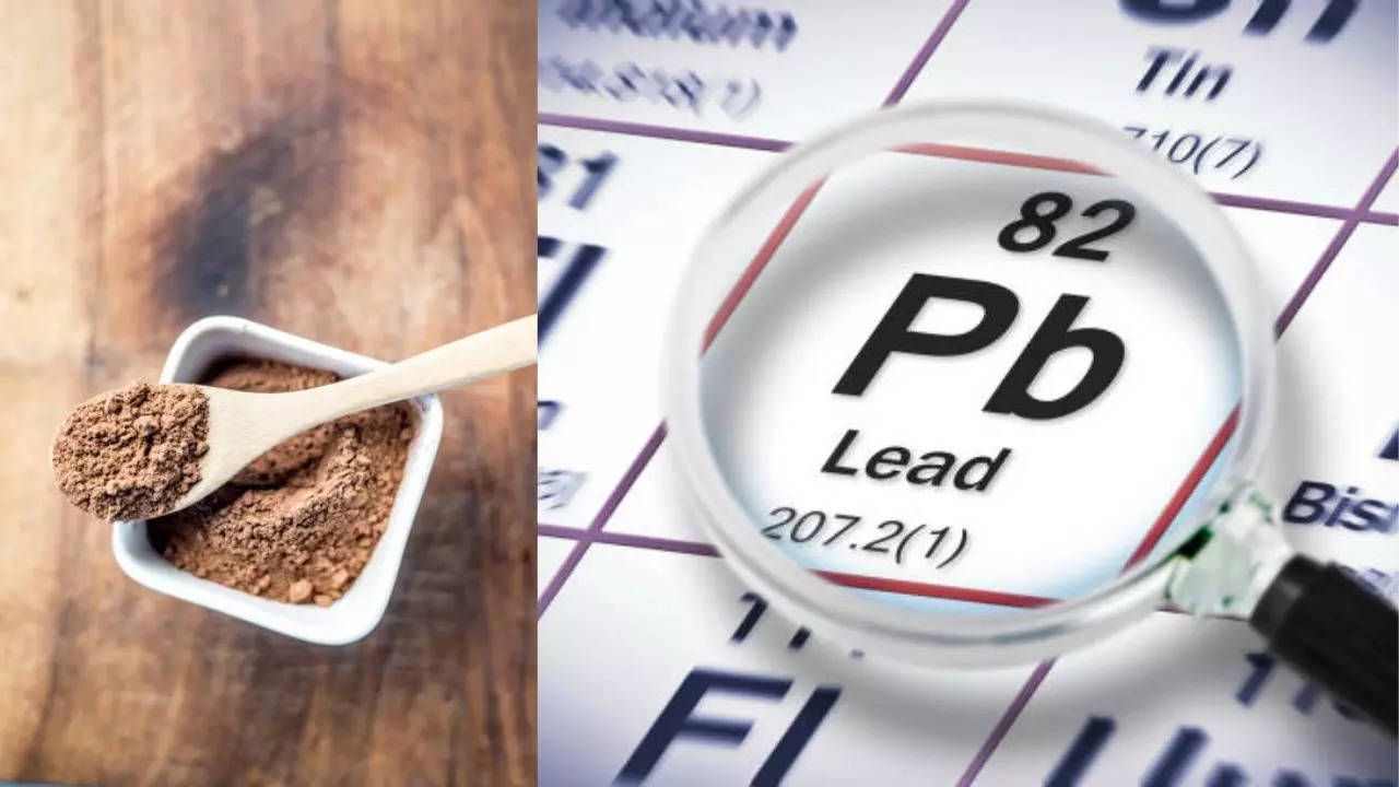 US Health Agency Finds Lead and Cadmium In Protein Powders