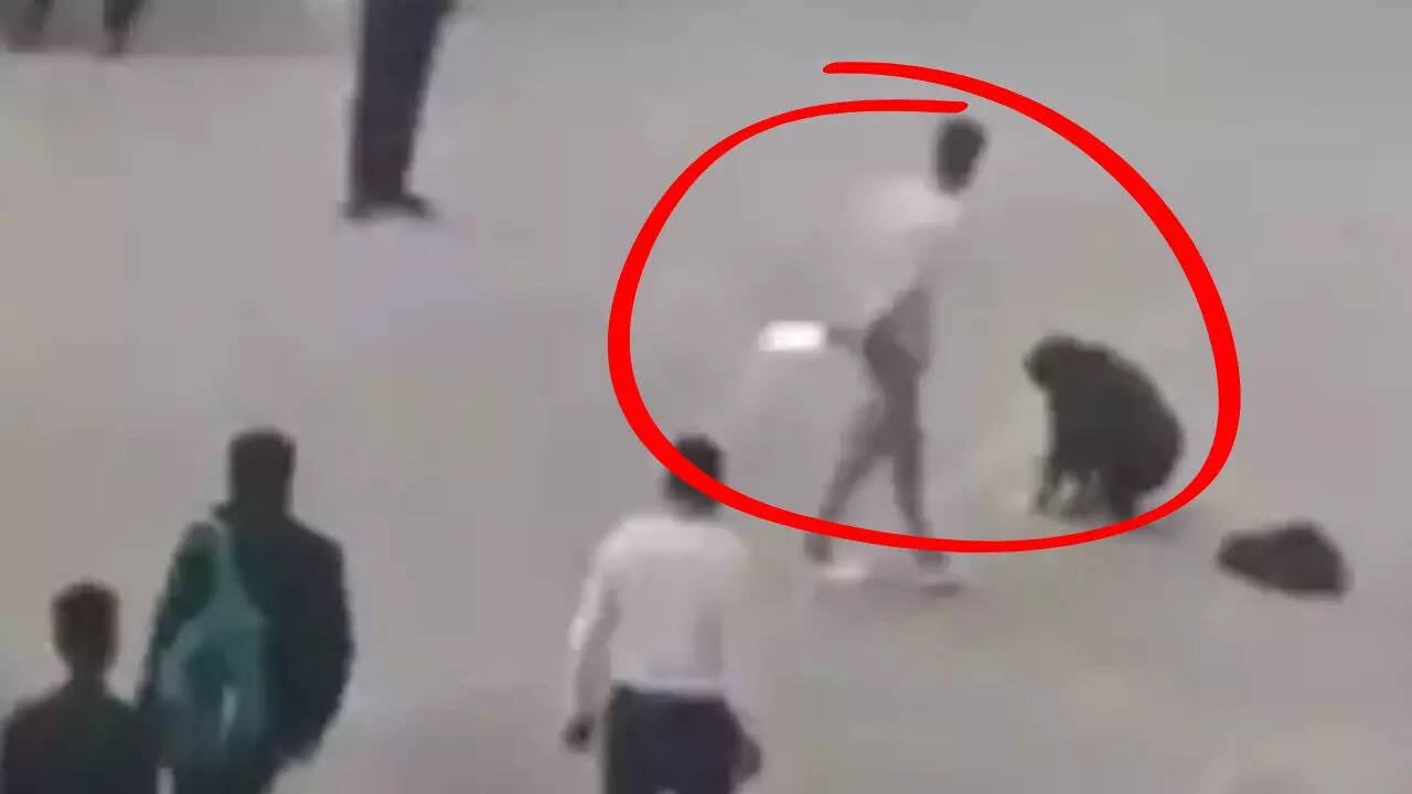 pune woman murder: chilling video captures final moments of bpo worker - attacker pushes face to ground, threatens her with knife