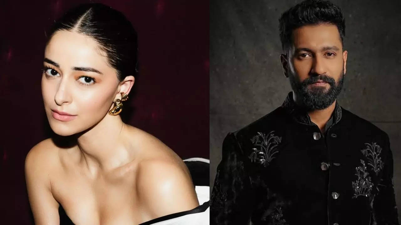 Ananya Panday, Vicky Kaushal To Star In Zoya Akhtar's Gully Boy Sequel? Here's What We Know