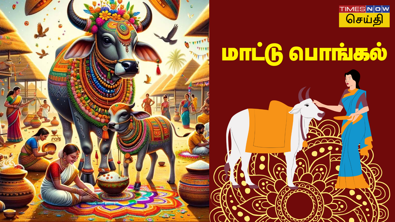  Pongal 2025: பொங்கல் பண்டிகையின் மூன்றாம் நாள், மாட்டுப் பொங்கல் கொண்டாடும் தேதி, நேரம் மற்றும் முக்கியத்துவம் 