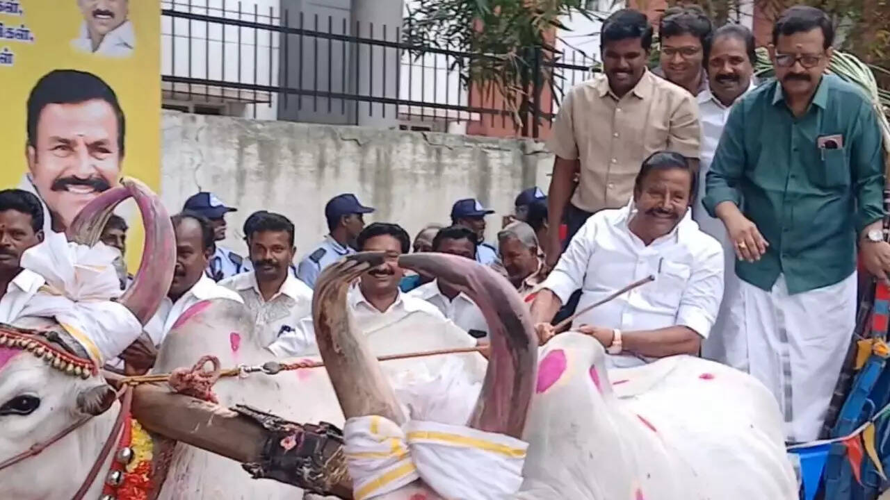  மாட்டு வண்டி ஓட்டிய அமைச்சர் கே.என்.நேரு... திருச்சியில் களைக்கட்டிய பொங்கல் விழா 