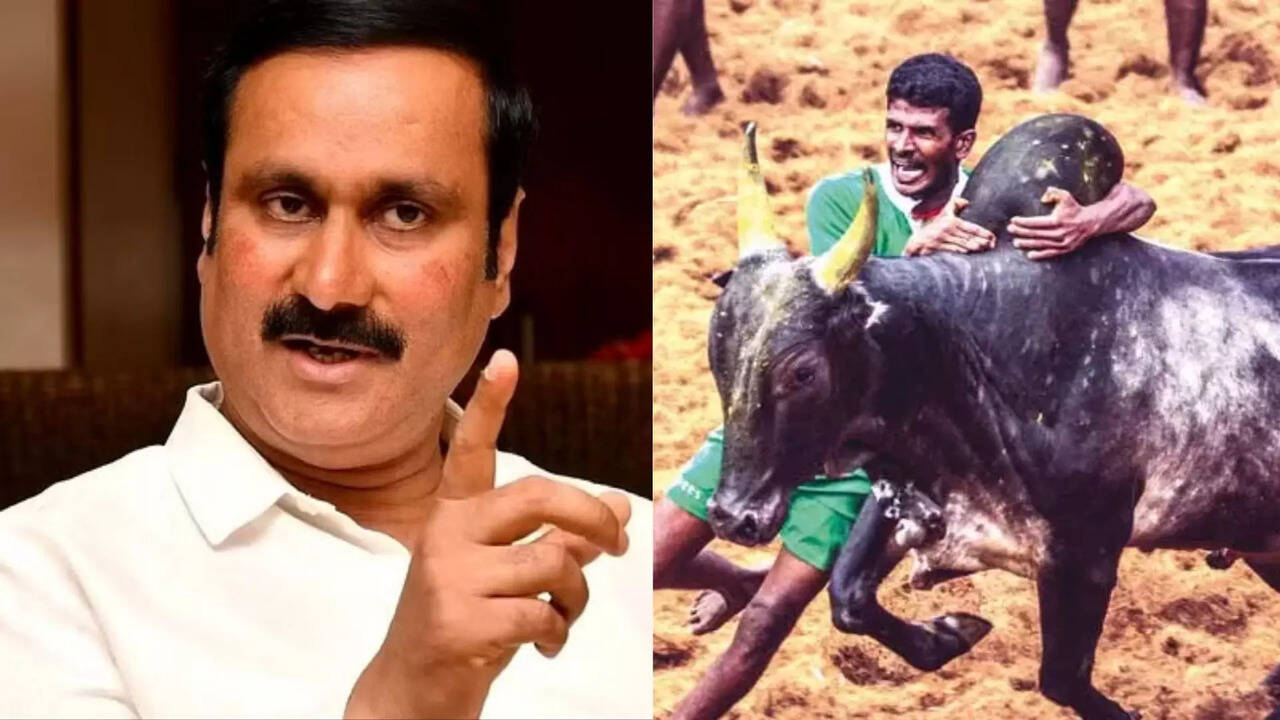  ஜல்லிக்கட்டு போட்டிகளில் வெல்லும் வீரர்களுக்கு அரசு வேலை வழங்க வேண்டும்.. அன்புமணி ராமதாஸ் வலியுறுத்தல் 