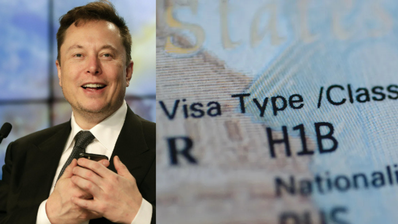 Elon Musk & H1B Visas