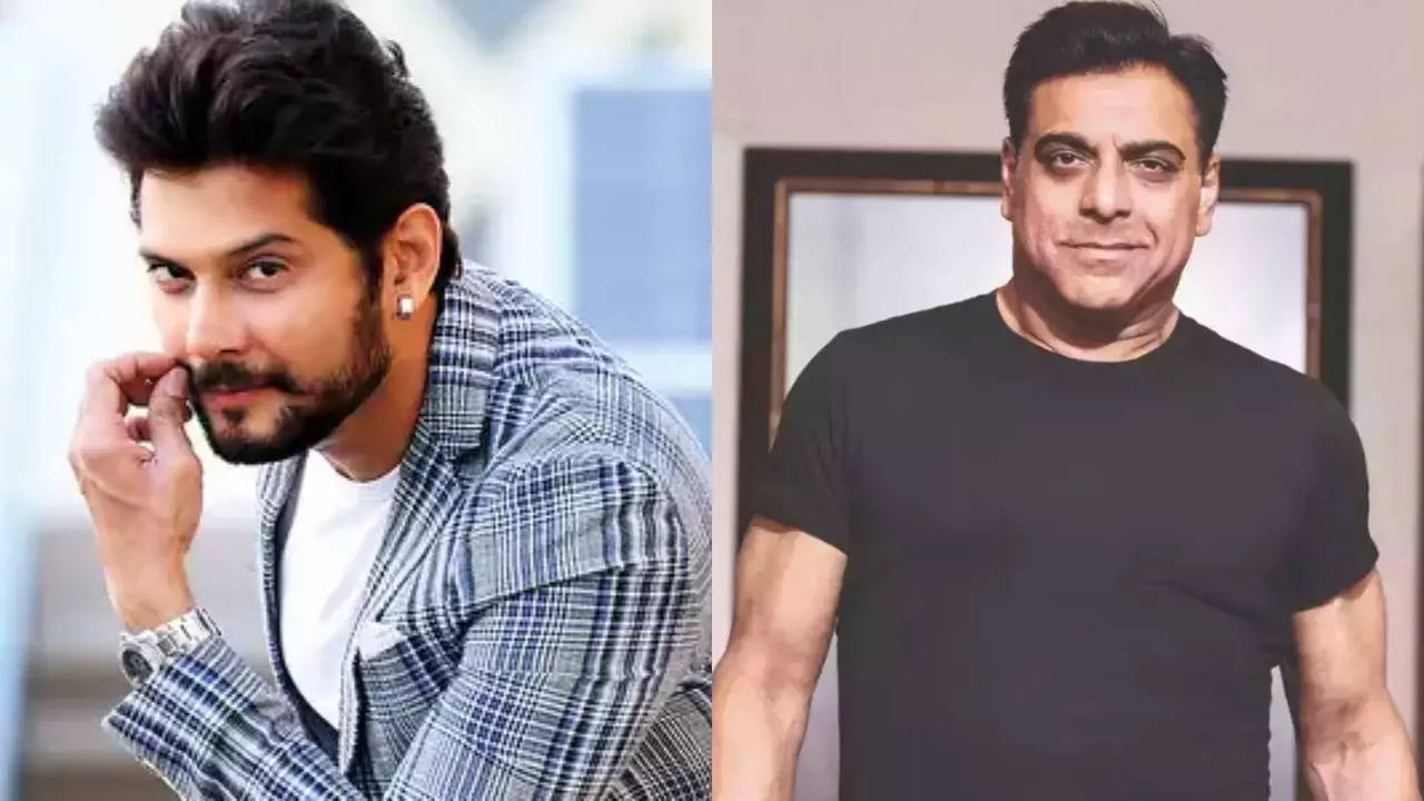 Amar Upadhyay FINALLY Reacts To Ram Kapoor's Statement On His Career: Kuch Toh Log Kahenge...