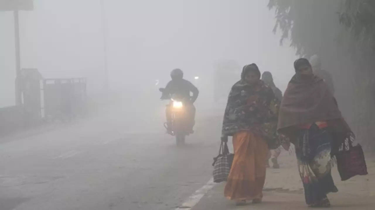 Maharashtra Cold Wave