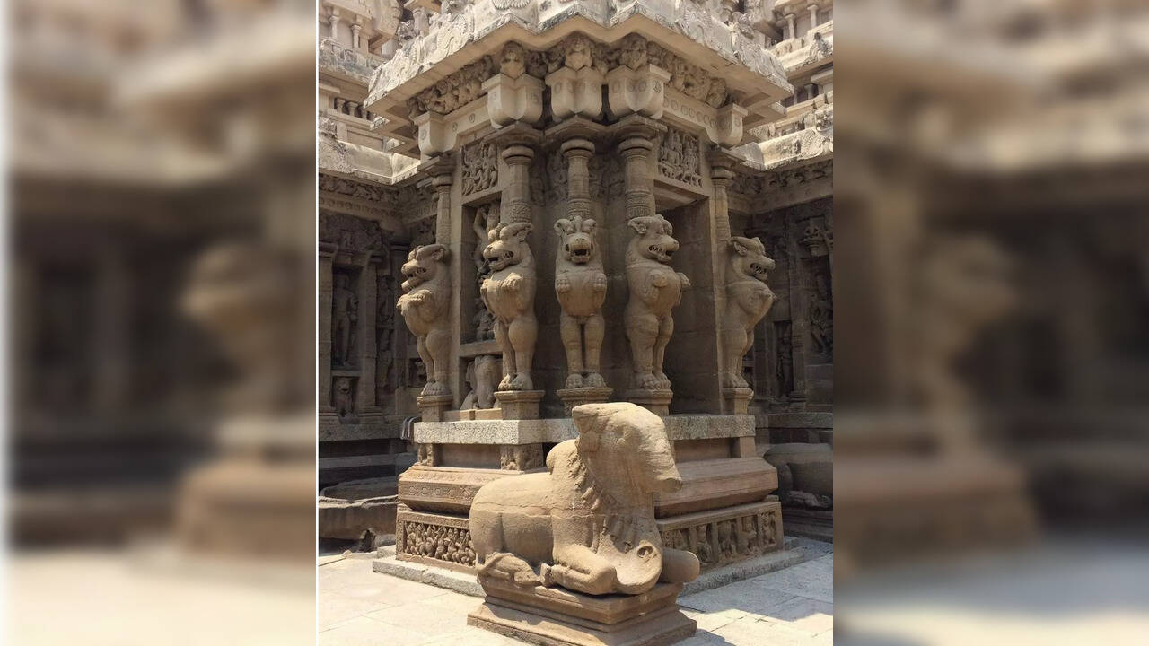  Pongal 2025: காஞ்சியில் காணும் பொங்கலை கொண்டாட சூப்பர் ஸ்பாட்கள் இதோ ! 