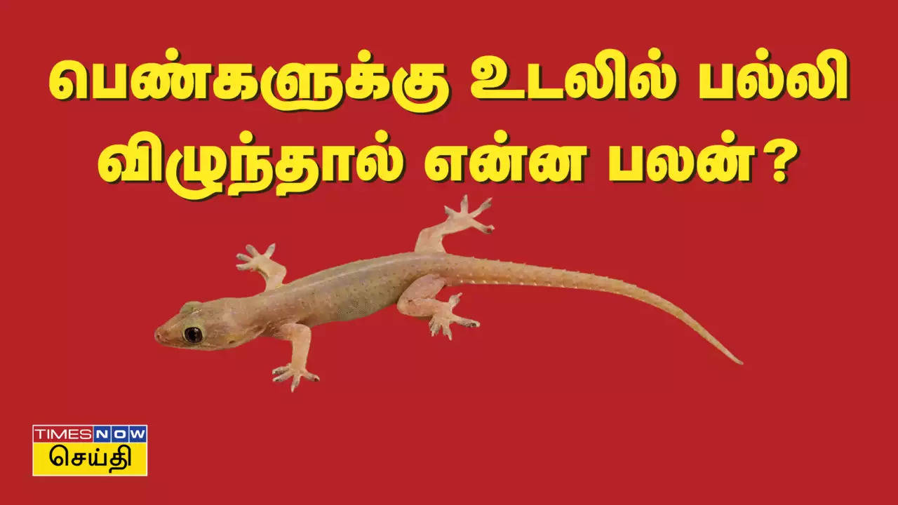 பெண்களுக்கான பல்லி விழும் பலன்.