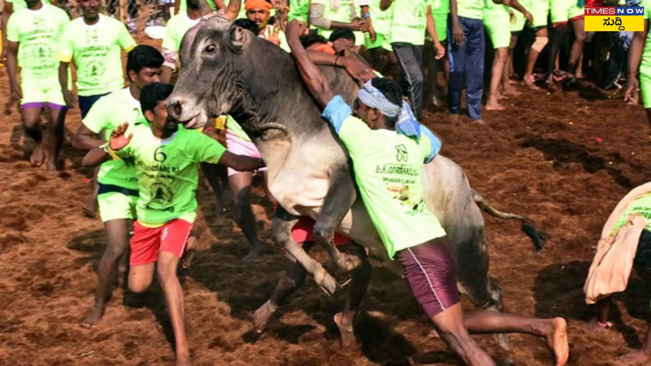 Tamil Nadu Jallikattu